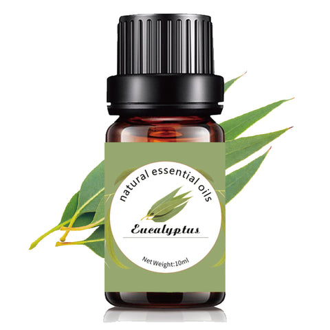 Eucalyptus - 10ml pure natural essential oil